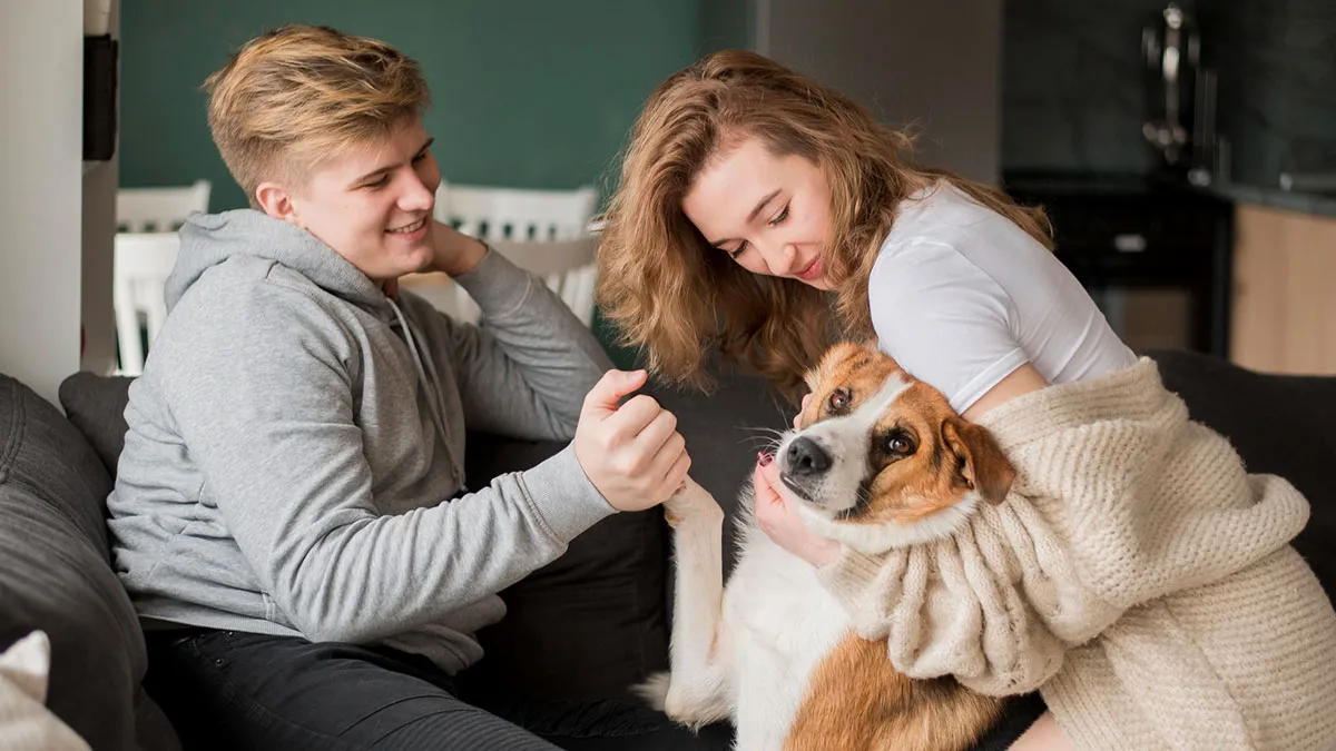Guy Cancels The Wedding And Breaks Fiancée’s Heart, Acts Shocked She Won’t Hand Over The Dog