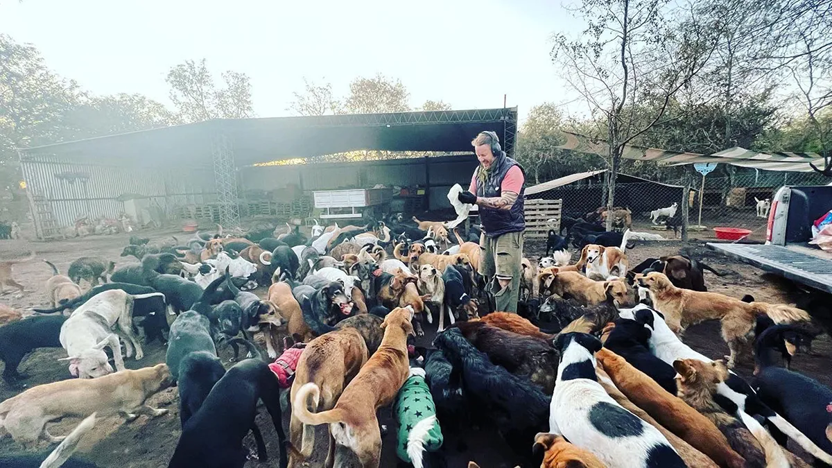 What It Takes To Care For More Than 600 Rescue Dogs: A Look Inside Refugio El Montecito