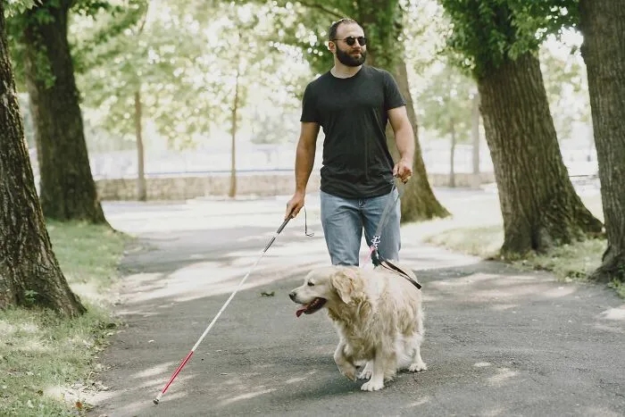Man walking with guide dog using a white cane in a park