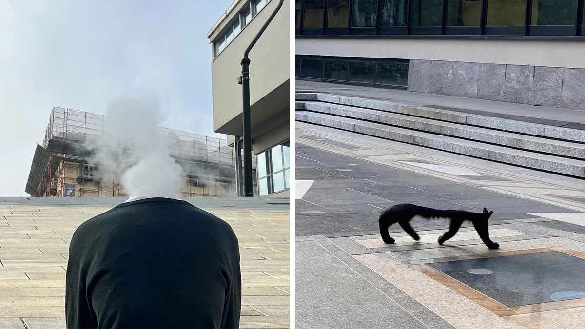 80 Seamless Photo Collages That Transform Ordinary Street Scenes Into Unexpected Visual Matches