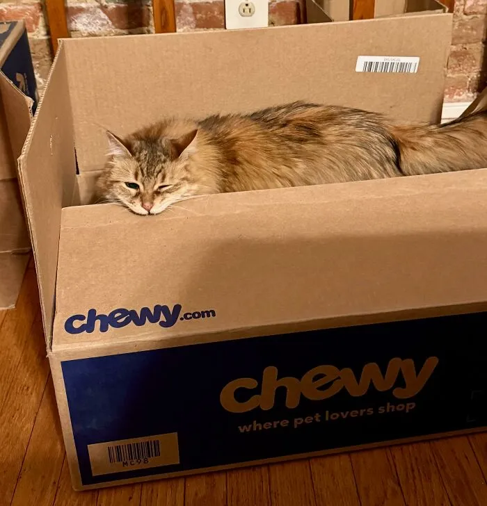 I Will Chomp My Way Out!