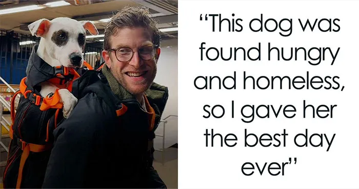 Shelter Dogs Are Finding New Homes After This Man Gives Them Backpack Rides Around NYC