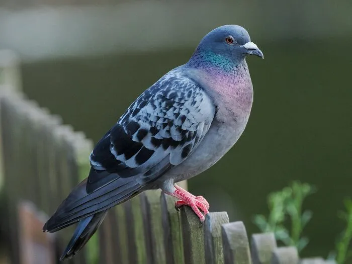 73 Random Facts That Might Make People Go: "Why On Earth Do You Know That?"