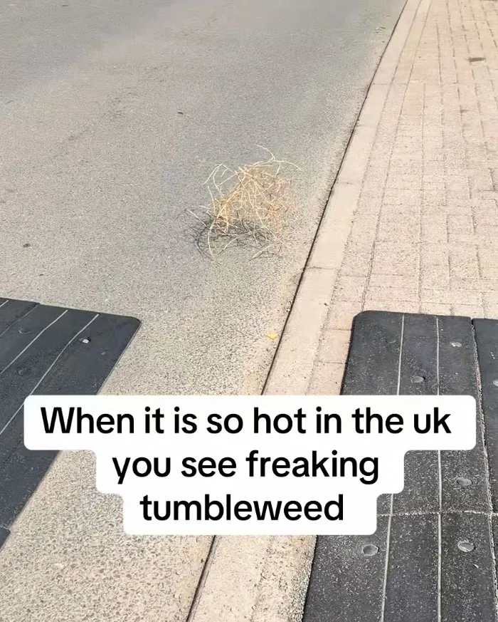 35 Alarming Photos That Show The Heatwave In Europe Is No Joke