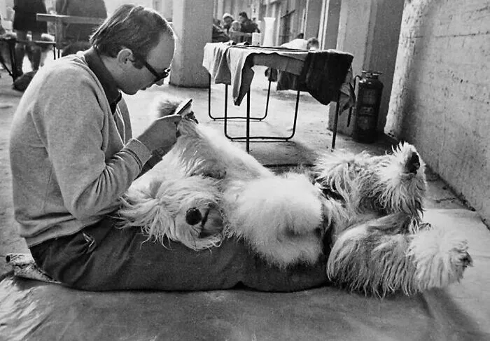 31 Remarkable Animal Encounters, As Shared By Pure Street Photography