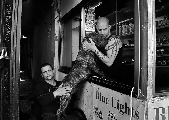 47 Perfectly Timed Candid Dog Photos By This Street Photographer