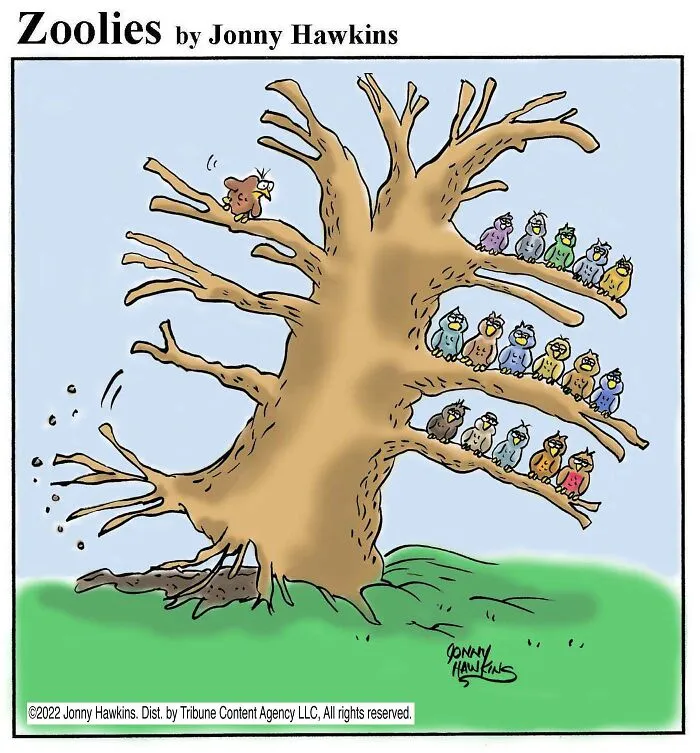 Birds In Trees