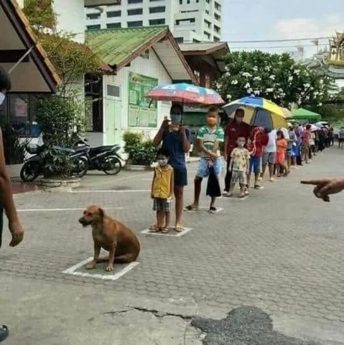 31 Funny Animal Encounters Shared By This Page That Would Sound Fake If Not Caught On Camera