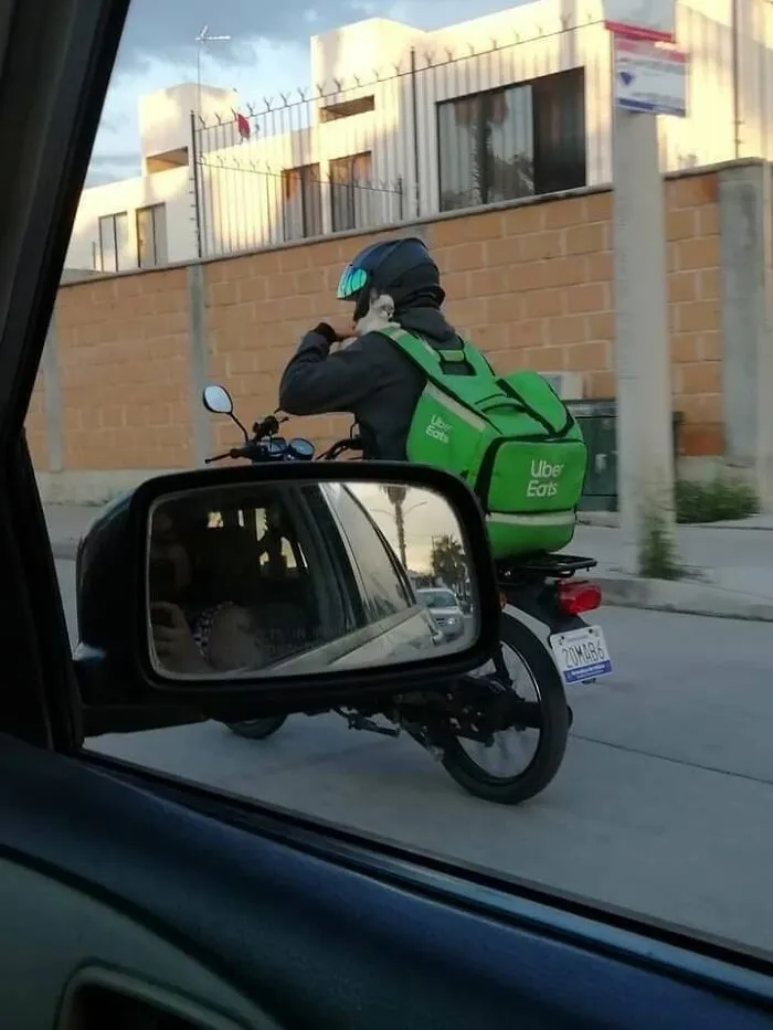 A cat peeking out of an Uber Eats delivery backpack, a hilarious cat moment caught on camera.
