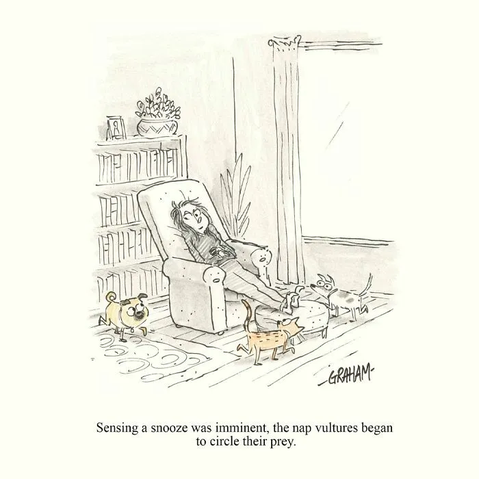 If You Enjoy Subtle Humor, These 43 Cat Comics By Grickle Might Hit The Spot
