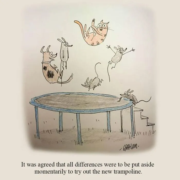 If You Enjoy Subtle Humor, These 43 Cat Comics By Grickle Might Hit The Spot