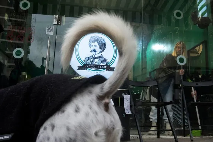 47 Perfectly Timed Candid Dog Photos By This Street Photographer