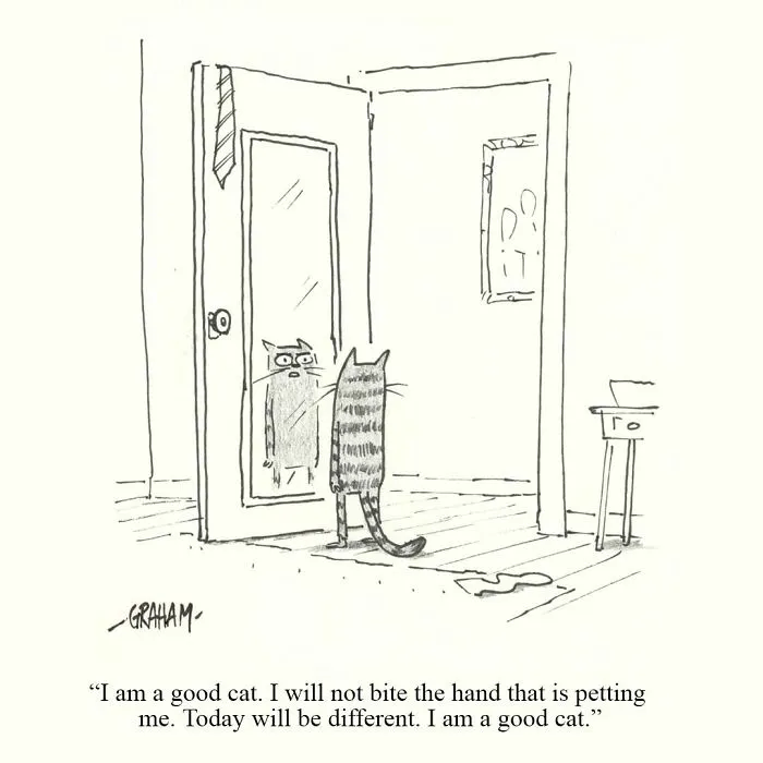 If You Enjoy Subtle Humor, These 43 Cat Comics By Grickle Might Hit The Spot