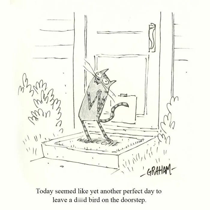 If You Enjoy Subtle Humor, These 43 Cat Comics By Grickle Might Hit The Spot
