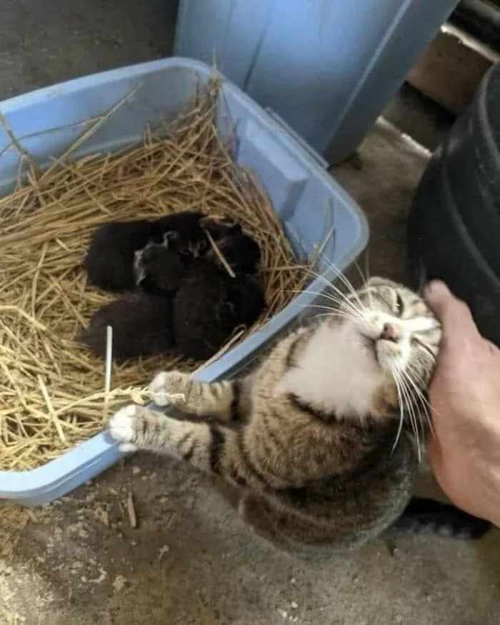 31 Funny Animal Encounters Shared By This Page That Would Sound Fake If Not Caught On Camera