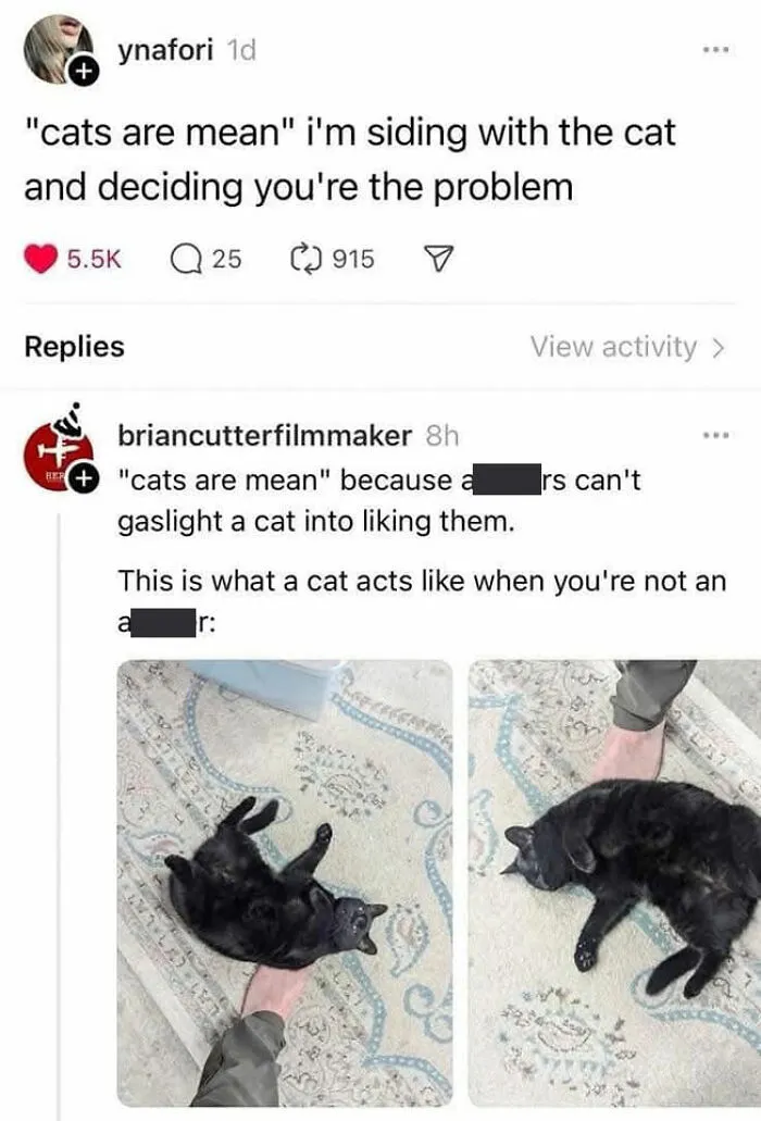 Hilarious cat memes featuring a black cat lying on its back, capturing what it is like to share a home with cats.