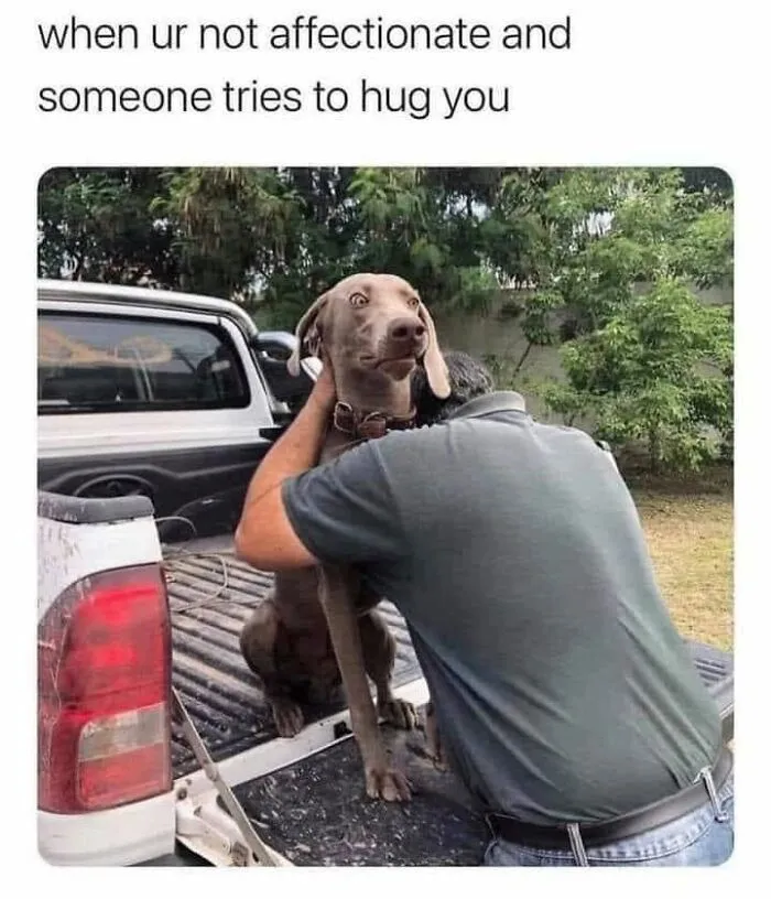 49 Funny Memes Shared By “Dog Memes Galore” That Pet Owners Might Relate To