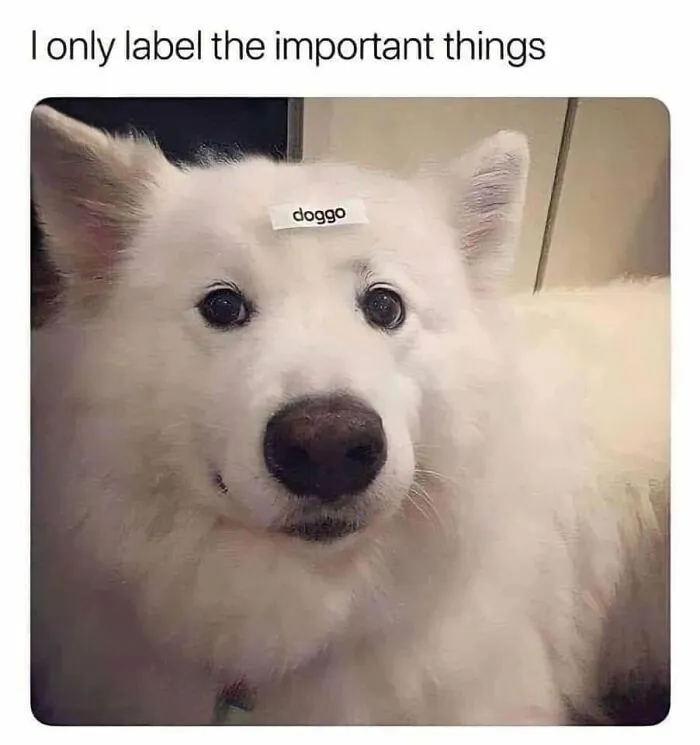 49 Funny Memes Shared By “Dog Memes Galore” That Pet Owners Might Relate To