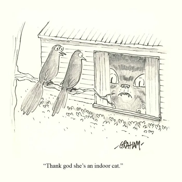 If You Enjoy Subtle Humor, These 43 Cat Comics By Grickle Might Hit The Spot