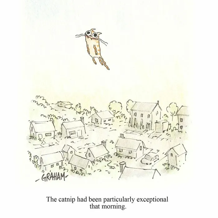 If You Enjoy Subtle Humor, These 43 Cat Comics By Grickle Might Hit The Spot