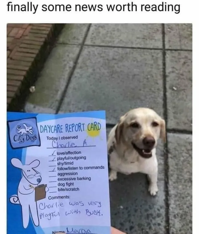49 Funny Memes Shared By “Dog Memes Galore” That Pet Owners Might Relate To