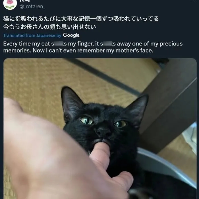 A black cat gently biting a human finger, with text about losing memories due to cat bites, a meme of sharing a home with cats.