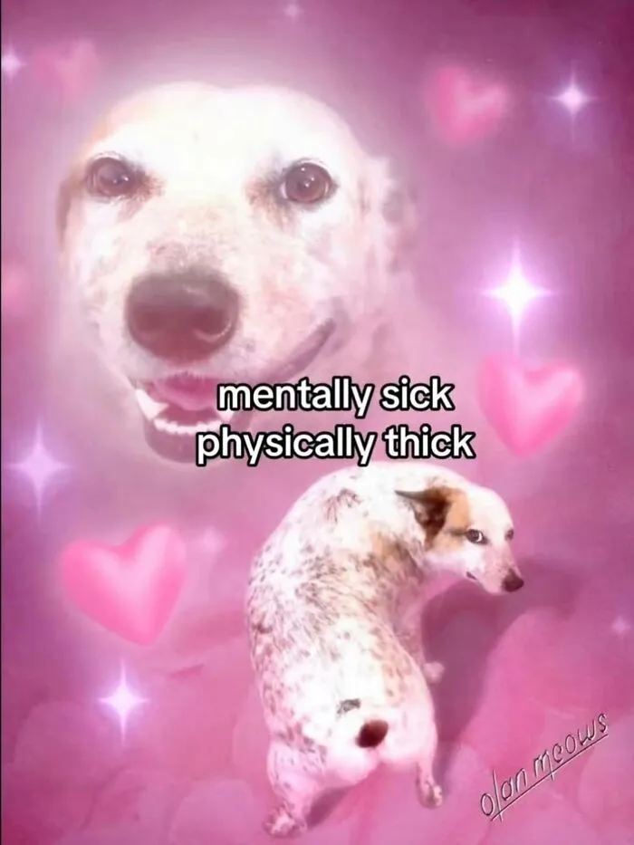 A funny and relatable meme featuring two dogs on a pink, heart-filled background with text 'mentally sick, physically thick'.
