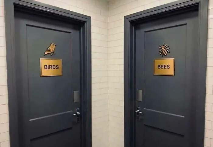 Explain It Peter.. Who Are Birds Who Are Bees???
