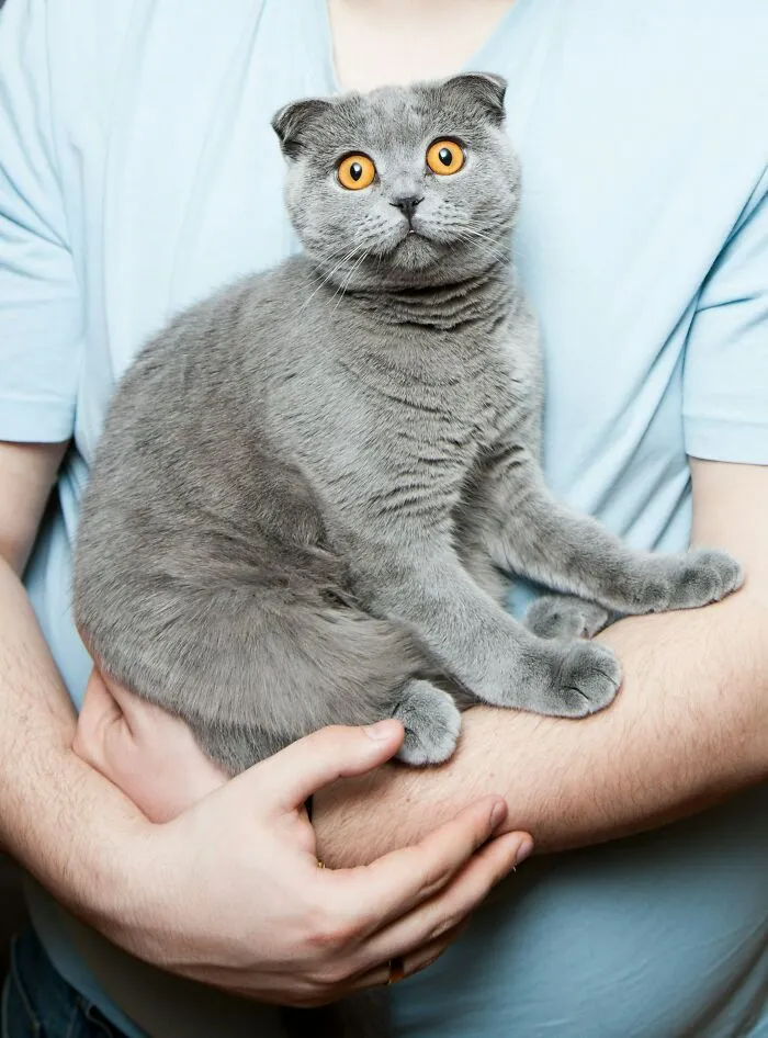 53 Pet Names That Had Everyone Saying, "Why Didn't I Think Of That?"