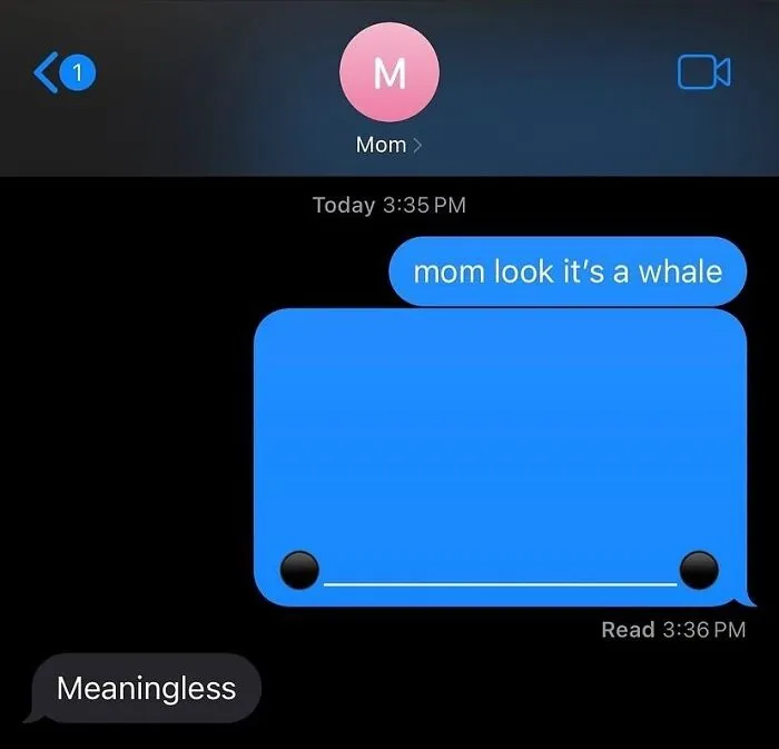People Shared The Most Weirdly Amusing Text Conversations They Had And These 53 Are Hilarious