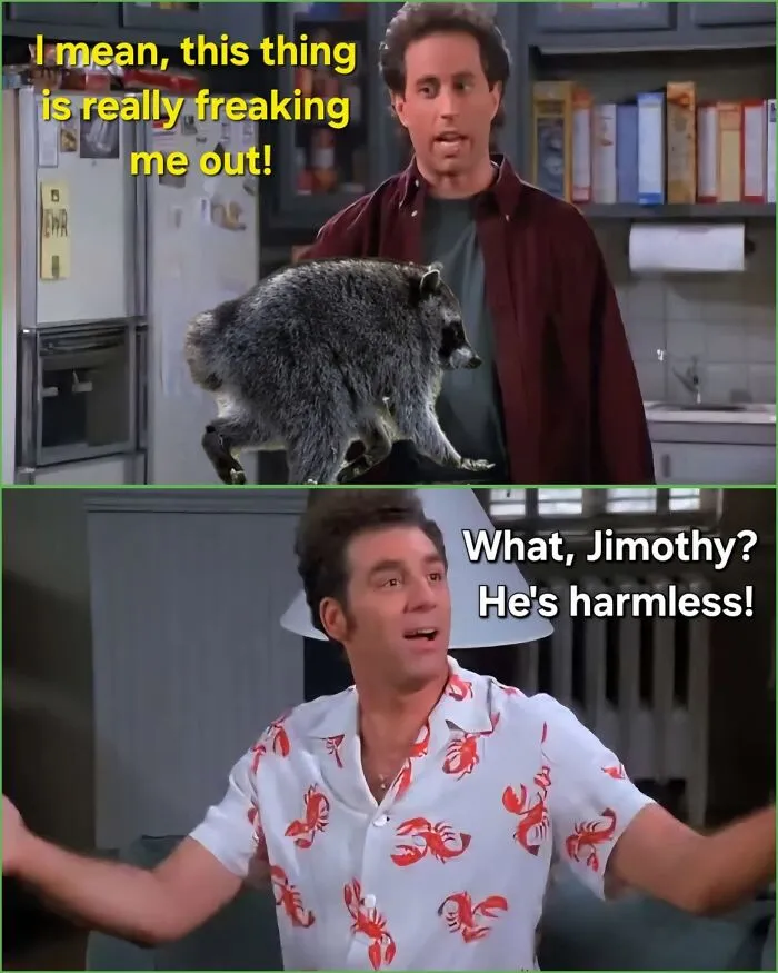23 Memes That Capture The World's Unhinged Obsession With An Unusually Shaped Raccoon Named "Jimothy"