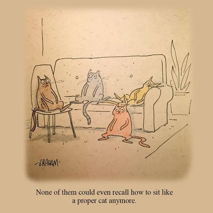 If You Enjoy Subtle Humor, These 43 Cat Comics By Grickle Might Hit The Spot