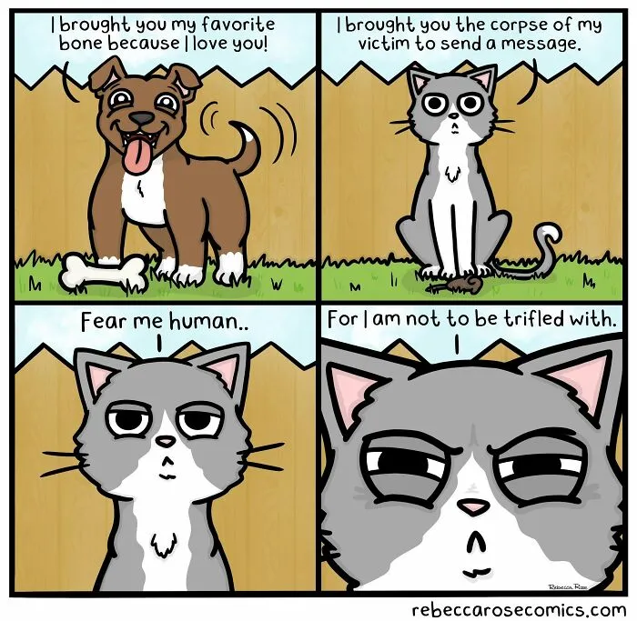 Cartoonist Rebecca Rose Nails The Funny Side Of Adulting, Pets, And Romance In 30 New Comics