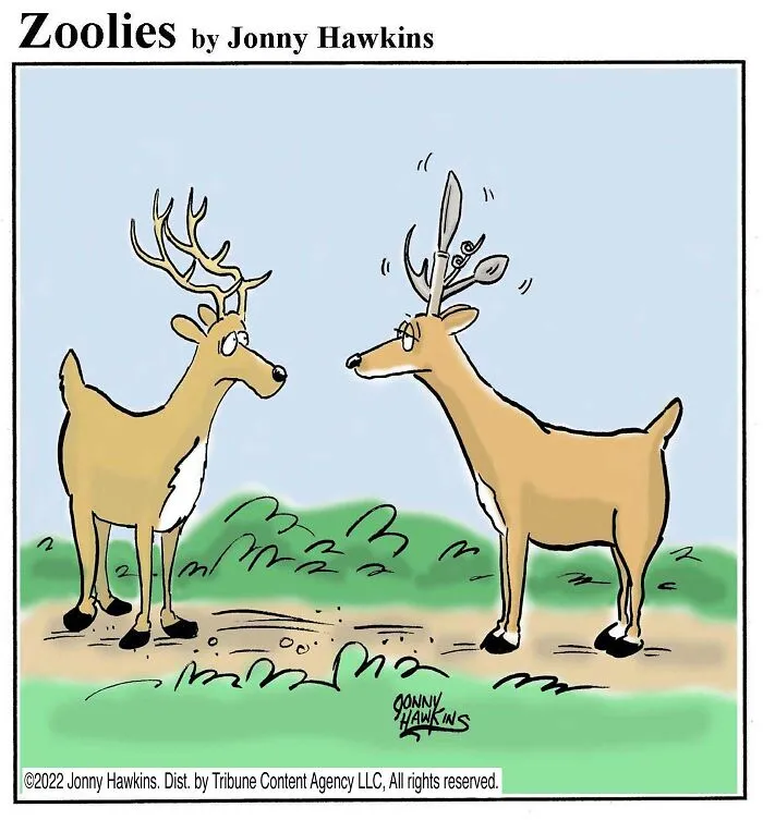 Swiss Antlers