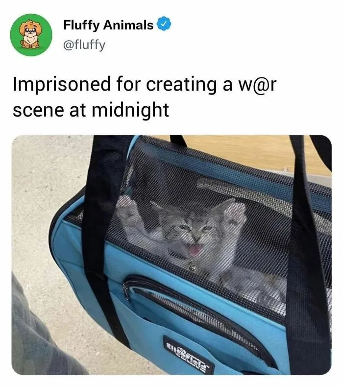 Hilarious memes perfectly capture sharing a home with cats: a cat in a carrier, appearing to be 'imprisoned' for mischief.