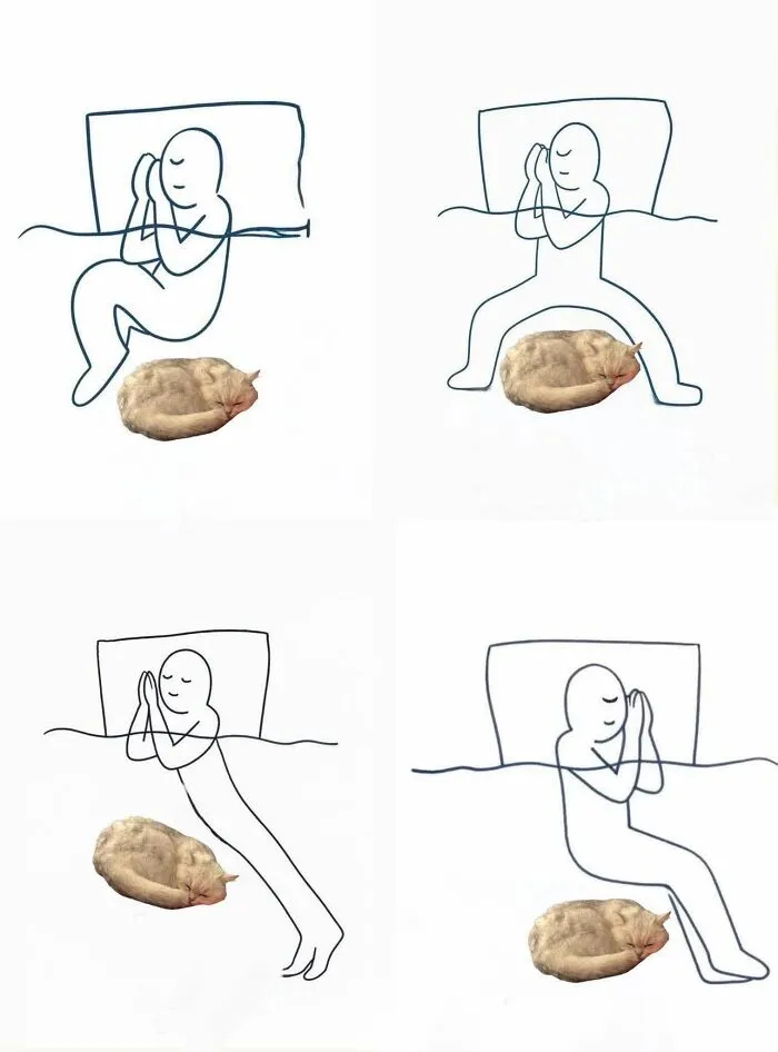 49 Hilarious Memes That Perfectly Capture What It’s Like To Share A Home With Cats