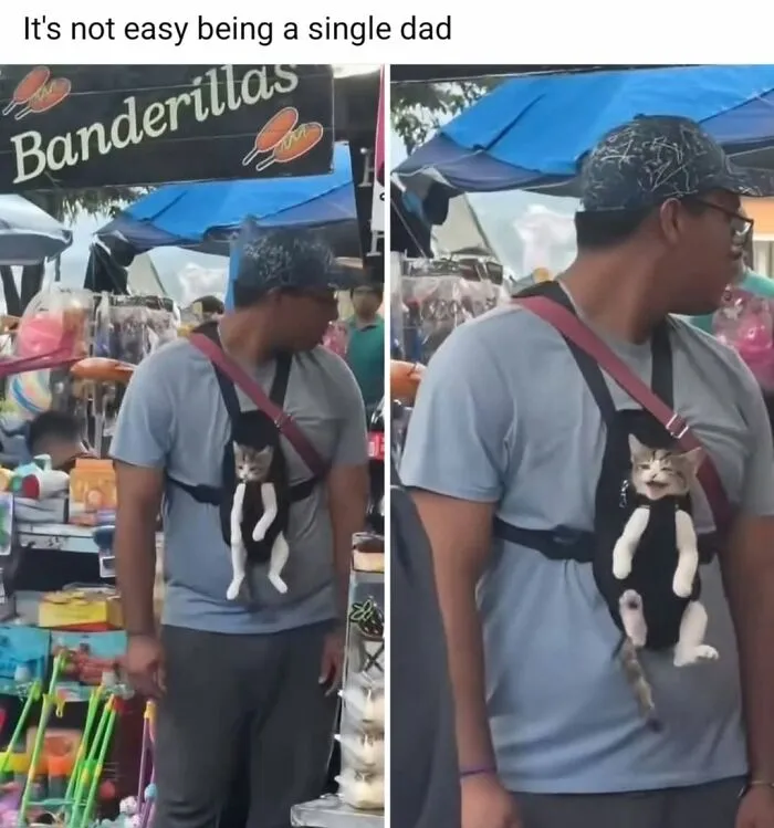 Hilarious cat memes: A man carries a tiny kitten in a baby carrier, illustrating a single cat dad.