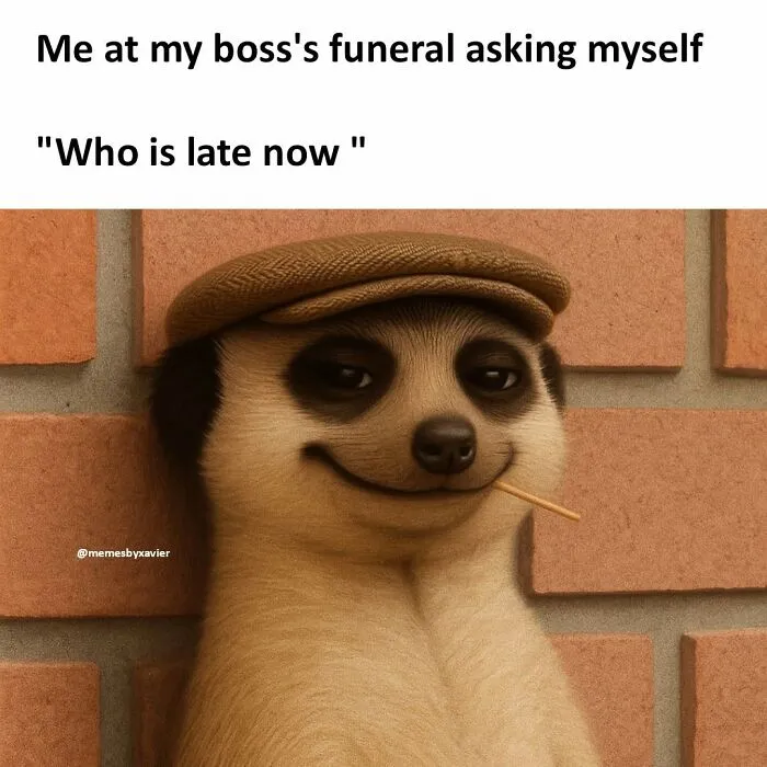 Hilarious-Relatable-Xavier-Memes