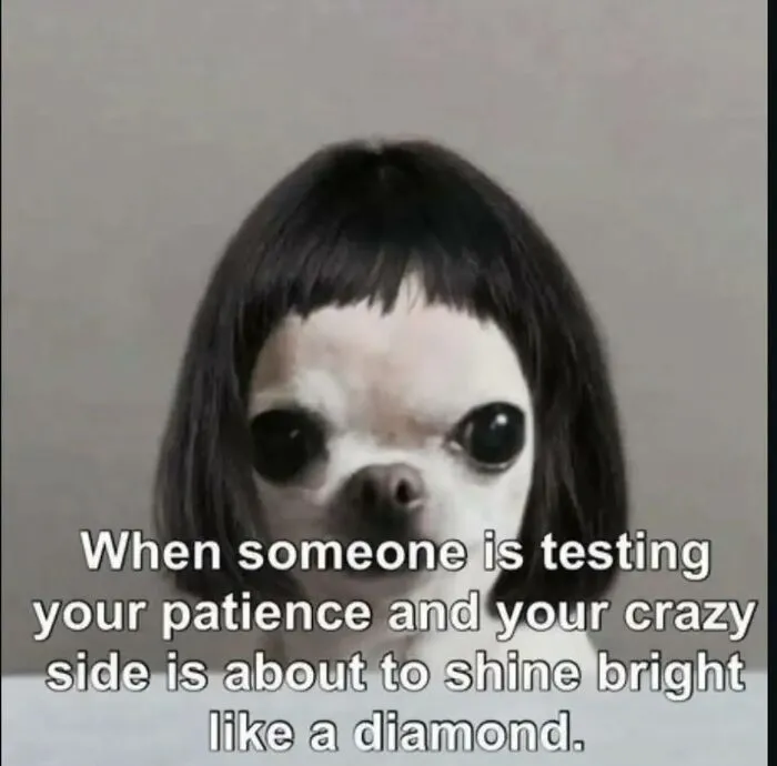 A hilarious meme featuring a dog with a wig, illustrating the relatable feeling of patience being tested.