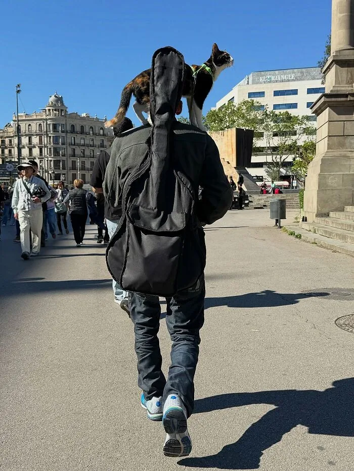 Un hombre con una funda de guitarra en la espalda y un gato sobre su hombro, una divertida foto accidental.