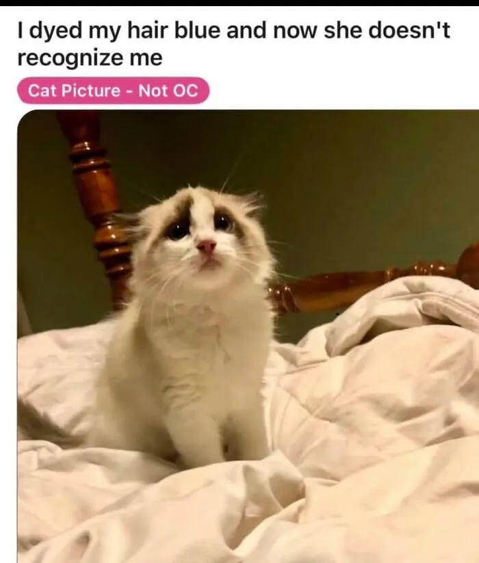93 Brutally Honest Posts About Womanhood That Men Might Never Fully Get