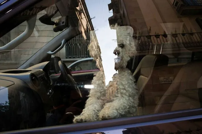 31 Fun Accidental Moments Captured By This Street Photographer (New Pics)