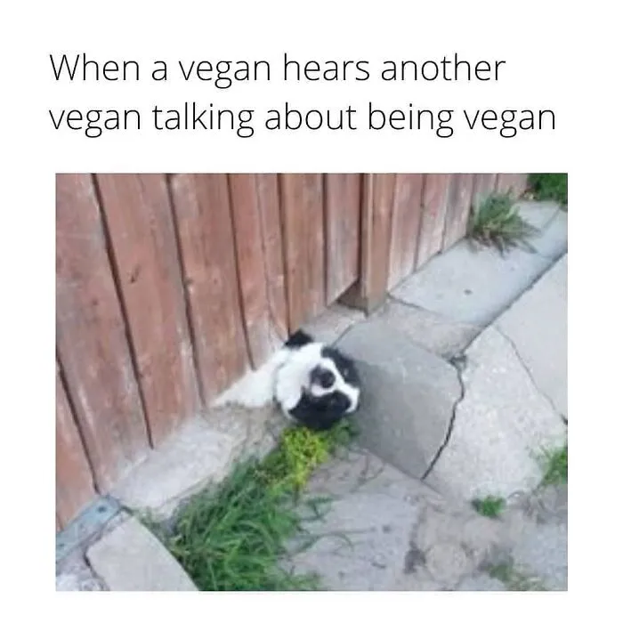 Don’t Choke On Your Salad While You Scroll These 47 Hilarious Vegan Memes
