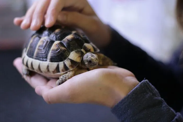 53 Pet Names That Had Everyone Saying, "Why Didn't I Think Of That?"