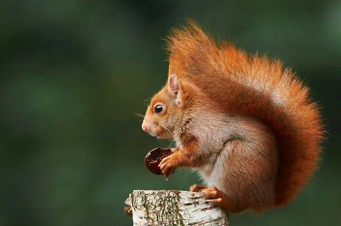 65 Random Fun Facts That Might Make Your Day