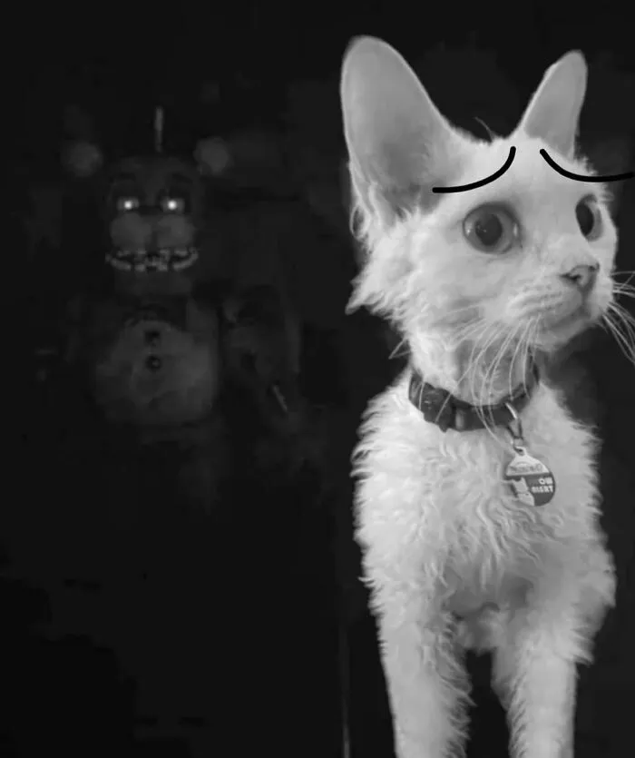 30 Cute Photos Of A Devon Rex Cat That's Capturing Hearts One Post At A Time