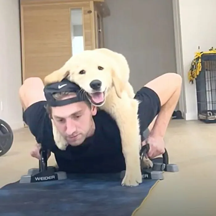 This Page Shared 27 Photos Of Dogs Who Made Their Owners Laugh Without Even Trying