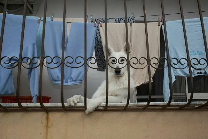 31 Fun Accidental Moments Captured By This Street Photographer (New Pics)