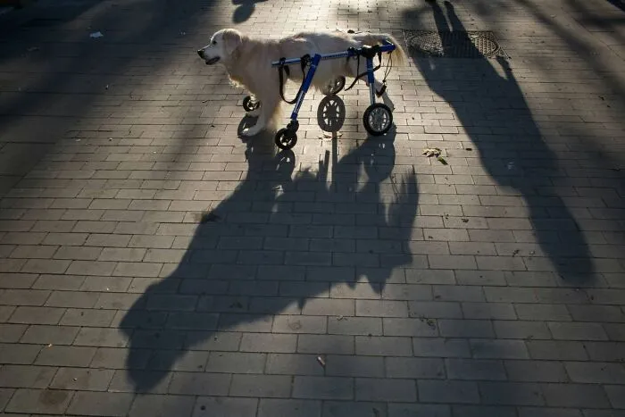 31 Fun Accidental Moments Captured By This Street Photographer (New Pics)