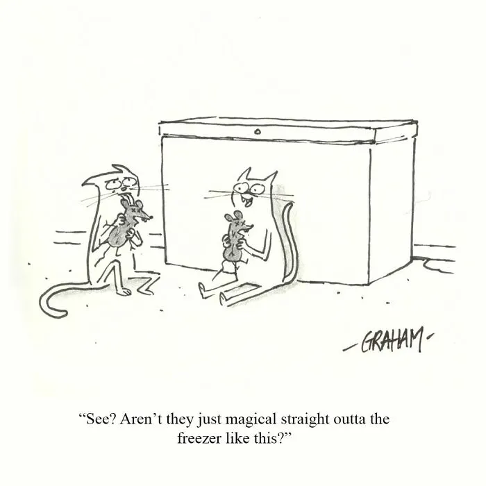 If You Enjoy Subtle Humor, These 43 Cat Comics By Grickle Might Hit The Spot